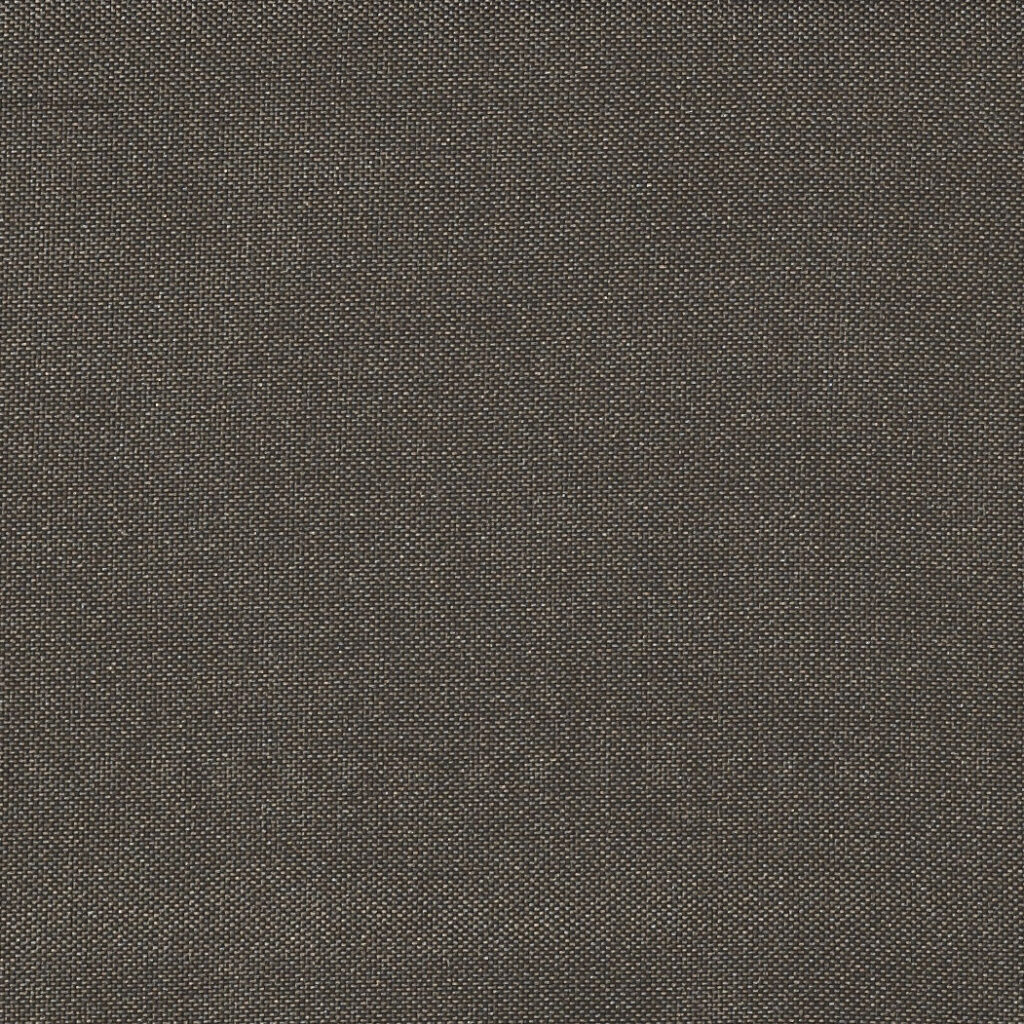 Tag-/Nachtvorhang ALIAS Fischbacher 1819 Farbe 125