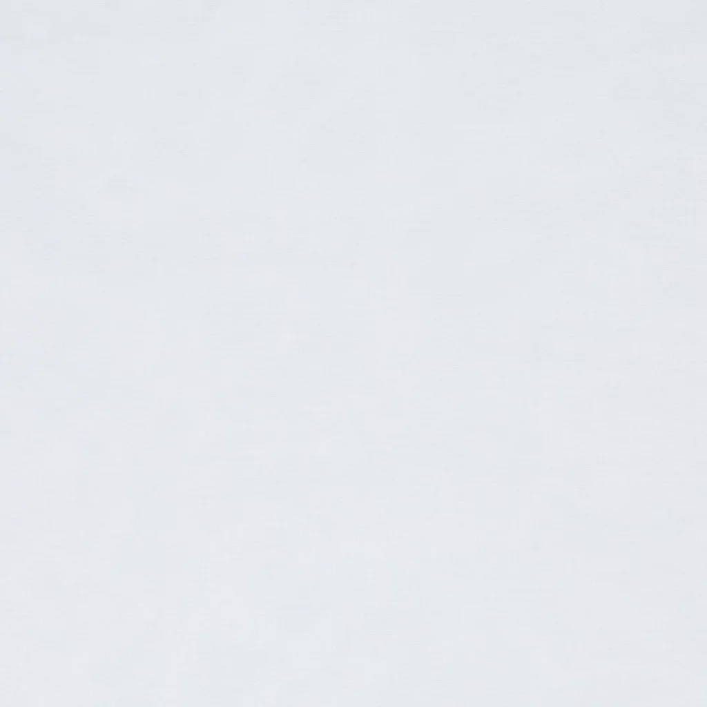 Tagesvorhang Kvadrat TAMPICO II Farbe 0001