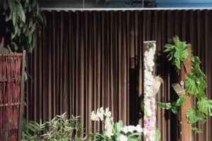 Aeschbach Chocolatier ChocoDromo Root